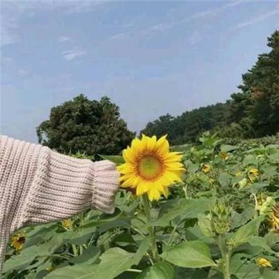 代号南海手游(暂未上线)v1.0.0 安卓版